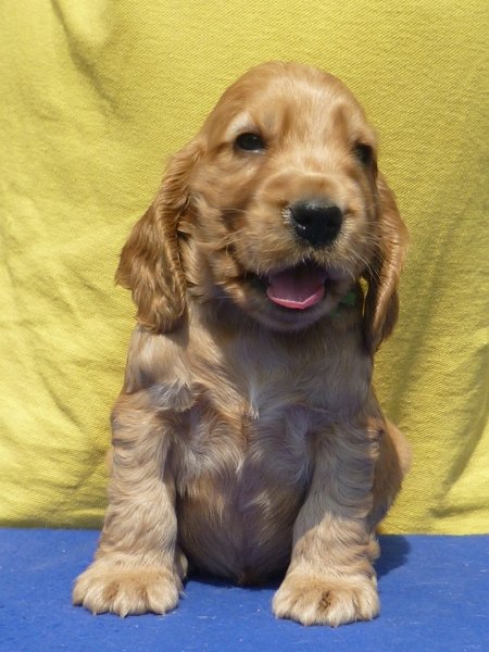 27. Garp pod Ořechem-sv. zelená.JPG